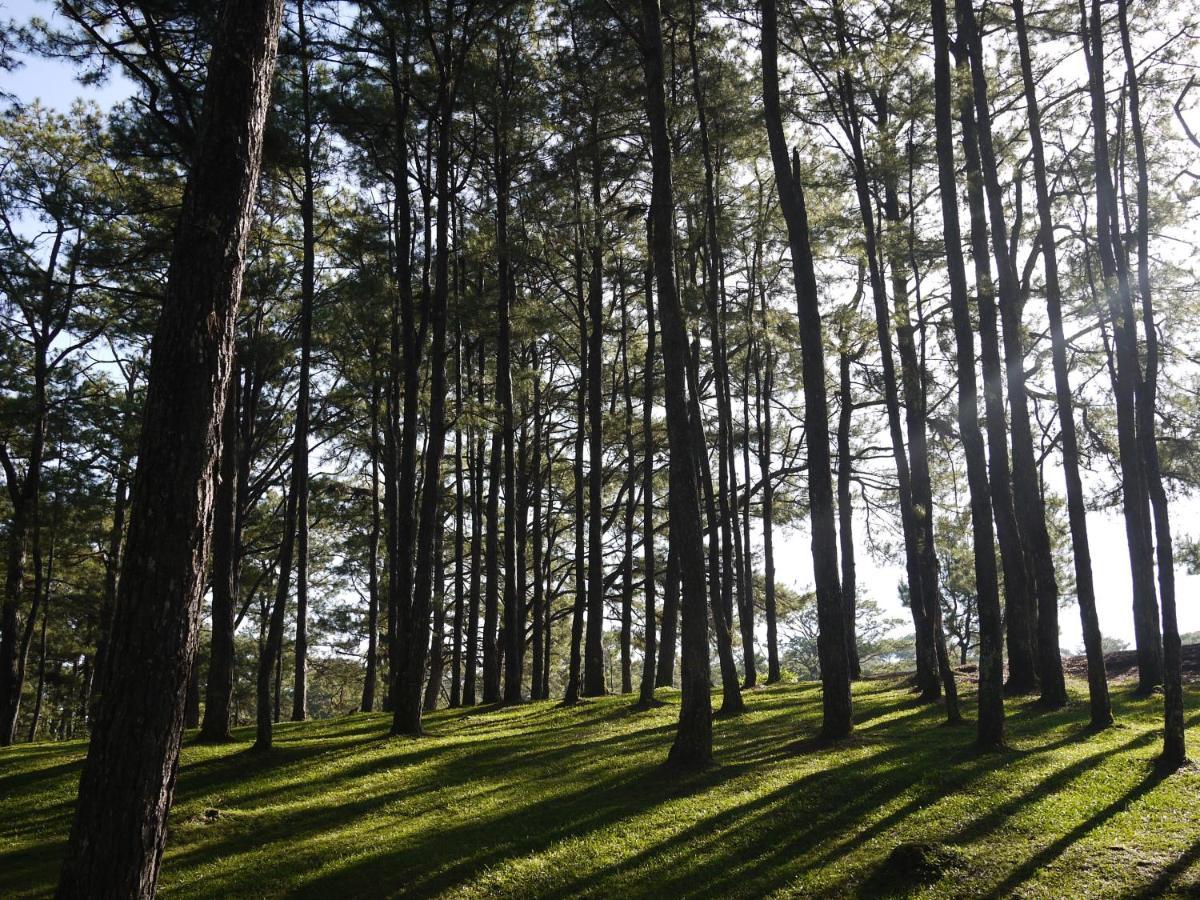 Azalea Residences Baguio Багио Экстерьер фото